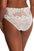 Natori Feathers Brief